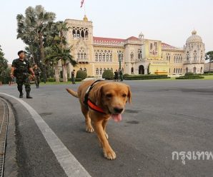 ‘ทำเนียบฯ’ ยกระดับรปภ. ติดตั้งเซ็นเซอร์ แจ้งเตือนผู้บุกรุก