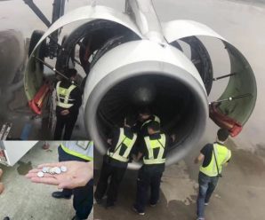 ป่วนทั้งลำ! อาม่าโยนเหรียญใส่เครื่องยนต์เครื่องบิน ขอให้เดินทางปลอดภัย ทำดีเลย์ไป 4 ชม.