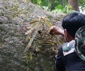 ชาว สุไหงปาดี สุดปลื้ม พบตราสัญลักษณ์ ร.9 ในป่าน้ำตกฉัตรวาริน เร่งพัฒนาพื้นที่ให้ประชาชนเข้าสักการะ