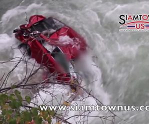 [Watch] Easy Living (2017) Full Movie