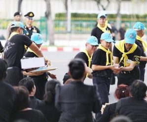 พระองค์ทีฯ เสด็จ เยี่ยมพสกนิกร ประทานอาหารให้แก่ประชาชนที่มาชมริ้วขบวนฯ