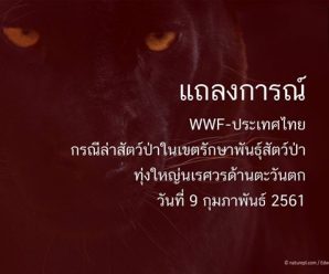 องค์การกองทุนสัตว์ป่าโลกสากล ประณามเปรมชัย วอนกฎหมายไทยเอาผิดไม่ยกเว้น